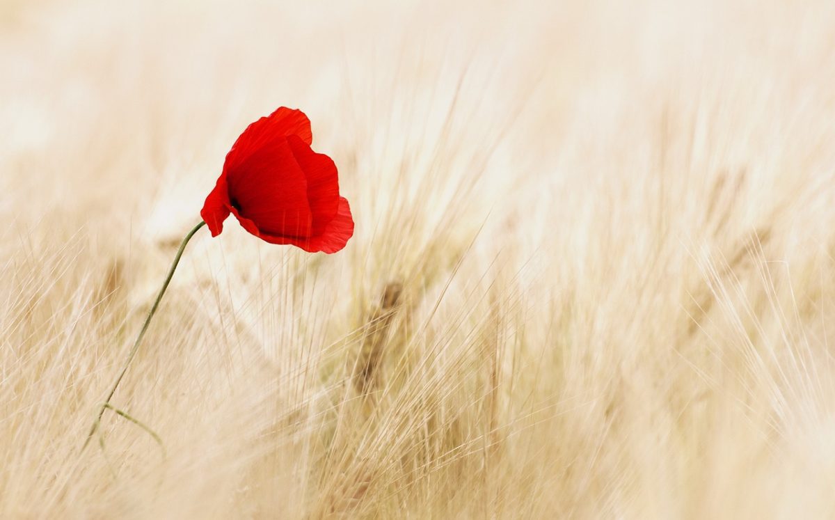 한동훈의 리더십 스타일 알아보기