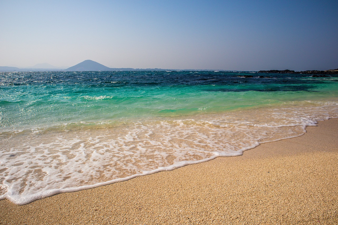 충암고 라인이 계엄 주도했나